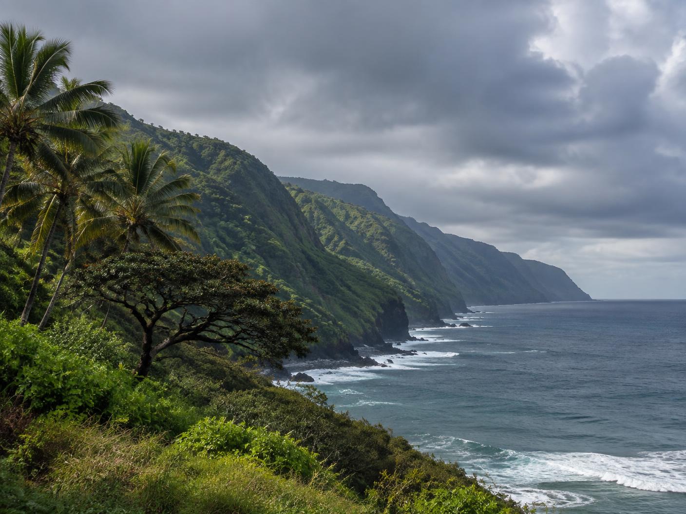 The Hāmākua coastline near the farm